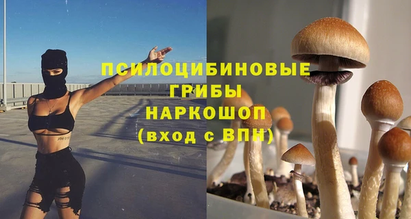 кокс Заводоуковск