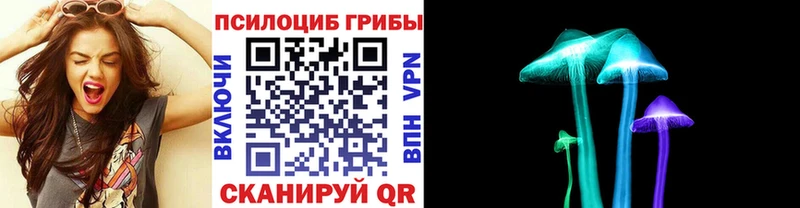 Псилоцибиновые грибы Psilocybe  ОМГ ОМГ ссылки  Сенгилей 